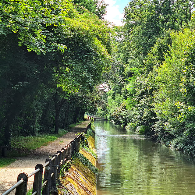 Kanal neben Bäumen